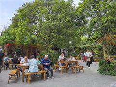 -青城甲(青城山店)