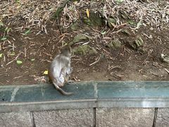 -黔灵山公园