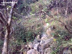 -火炉山森林公园