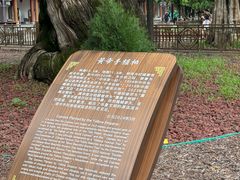 -黄帝陵
