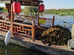 -白洋淀景区