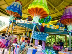 -美的鹭湖探索王国