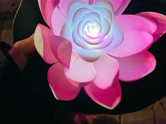 -印象普陀