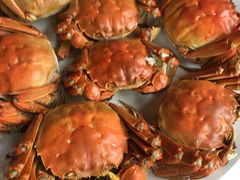 -上海浦东康桥绿地假日酒店