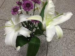 -雪蔓之鲜花气球派对(家佳源时代中心店)