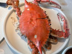 -开海·红岛海鲜虾水饺(石老人店)