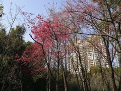 -金山公园