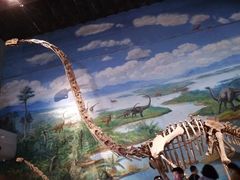 -自贡恐龙博物馆