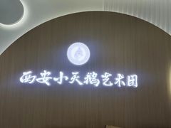 -西安小天鹅艺术团(金花路校区)