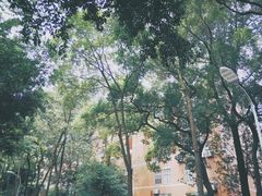 -四川大学(望江校区)