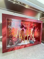 -深圳米兰柏羽医疗美容医院