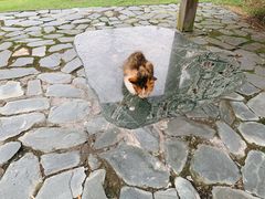 -白塘生态植物园