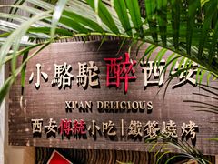 -福苗小骆驼烧烤(莲湖路店)