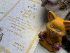 -博特宠物医院24h犬猫全科.骨科·异宠