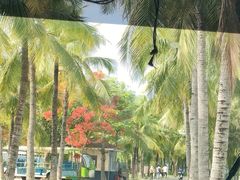 -三亚西岛海洋文化旅游区