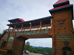 门面-莫尔道嘎国家森林公园