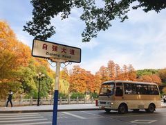 -武汉大学-樱园