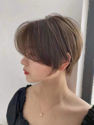 -IDOL-PLUS