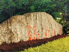 -南翔镇银翔湖公园