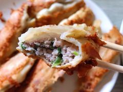 肉三鲜-一品鲜鱼锅贴(人民一路店)