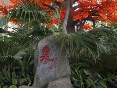-东方华地城湿地温泉度假区