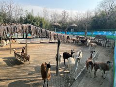 -西安秦岭野生动物园