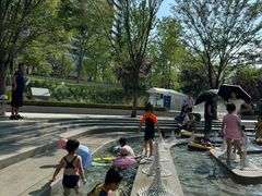 -成都市活水公园