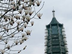 -南京晨光1865创意产业园