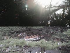 -USTC1958东区·by UNILAB