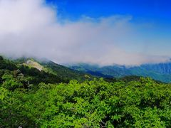 -神农架景区
