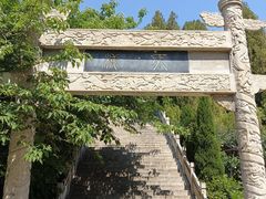 -原山国家森林公园