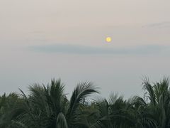 -三亚海棠湾喜来登度假酒店