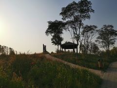 -东郊湿地公园