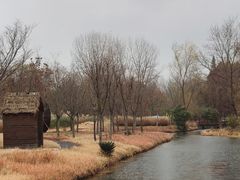 -溱湖国家湿地公园