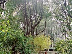 -江南大学(蠡湖校区)