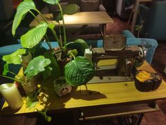 -84那年咖啡馆(李沧万达店)