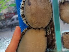 -富临港·蒸汽海鲜·手抓海鲜·炒菜(栈桥店)