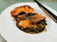 -南海渔村(珠江新城店)