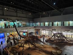 -自贡恐龙博物馆