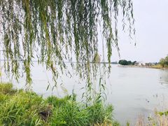 -漕湖湿地公园