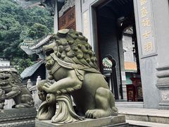 -南海湾森林生态园