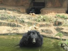 -海南热带野生动植物园