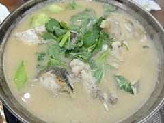 -焦滩大树下鱼头馆(焦滩店)