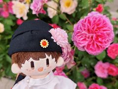 -大望京公园