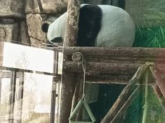 -大青山野生动物园