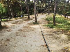 -元大都城垣遗址公园