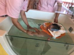 -喜宝母婴月子会所