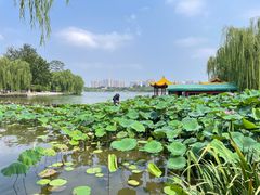 -济南大明湖景区