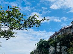 -泰山风景名胜区