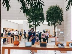 -Apple零售店(济南恒隆广场店)